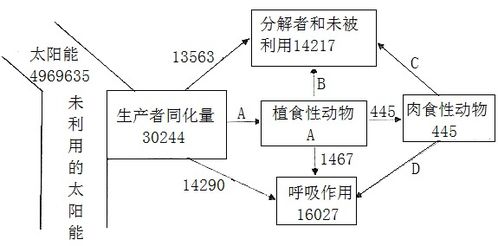 由于人类对能源过度的开采和利用,造成了环境污染,出现了雾霾等恶劣天气 某城市在城市周围建造了人工湿地,对城市环境的优化起到了一定的作用 图1表示人工湿地的结构,图