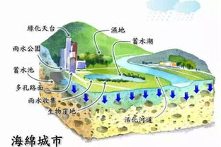 想要下雨不看海 看看香港如何处理雨水排放
