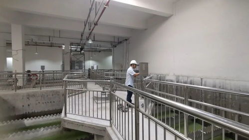 地上建公园,地下处理污水 内江这个再生水厂厉害了