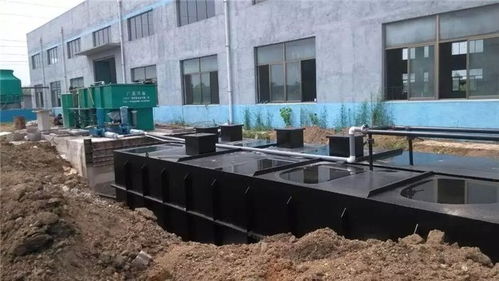 浙江生姜食品厂污水处理设备什么价钱推荐厂家 广晟环保
