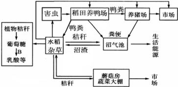 细胞作为最基本的生命系统.其形态.结构.功能保持相对稳定.生命系统通过各个层次的信息和反馈调节等活动维持其自身稳定.执行其正常功能.图1为高等动物细胞亚显微结构模式图