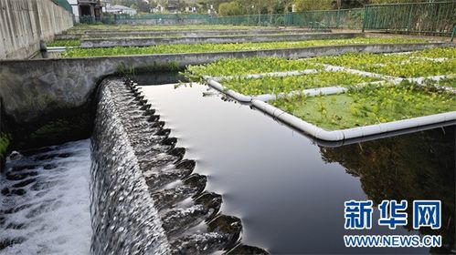 污水 变 活水 播州再生水利用迈上新台阶