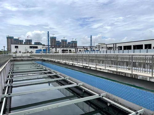 又一项目通水调试 厦门前场水质净化厂二期工程取得新进展