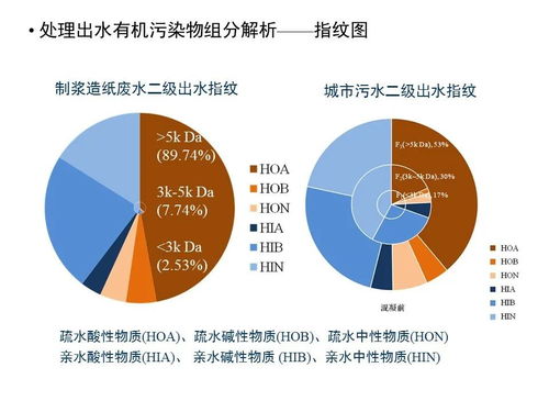 清华大学环境学院胡洪营教授 水征分析与污水再生处理工艺诊断优化方法 附ppt t05