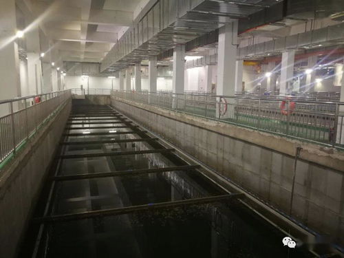 日处理污水2万吨 太慈再生水厂正式投入运行
