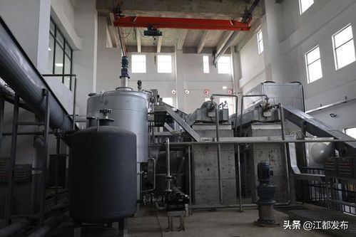 扬州首家 江都污水厂污泥和餐厨垃圾协同处置项目正式投产
