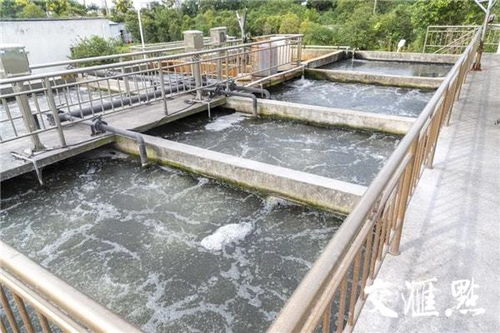 探索生活污水再生高效利用新途径,泰州海陵这个 水上农谷 项目实现 一地多收