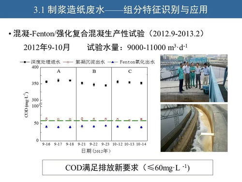 胡洪营 水征分析与污水再生处理工艺诊断优化方法