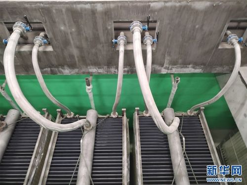 地下处理污水地上建公园 探访武汉长江新区谌家矶再生水厂