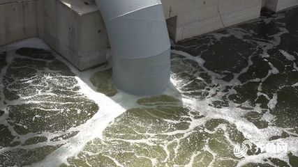 96秒丨工业生产、景观补水、园林绿化…潍坊5500万方再生水“变废为宝”